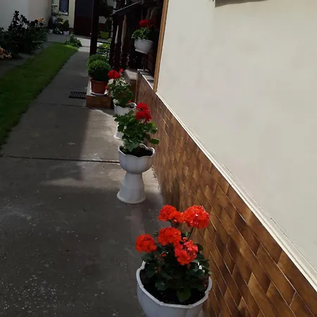 Liliapartman *