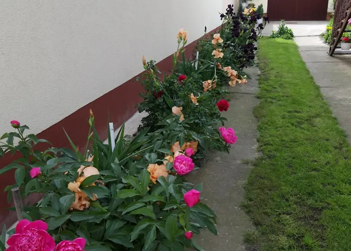 Liliapartman Apartament *